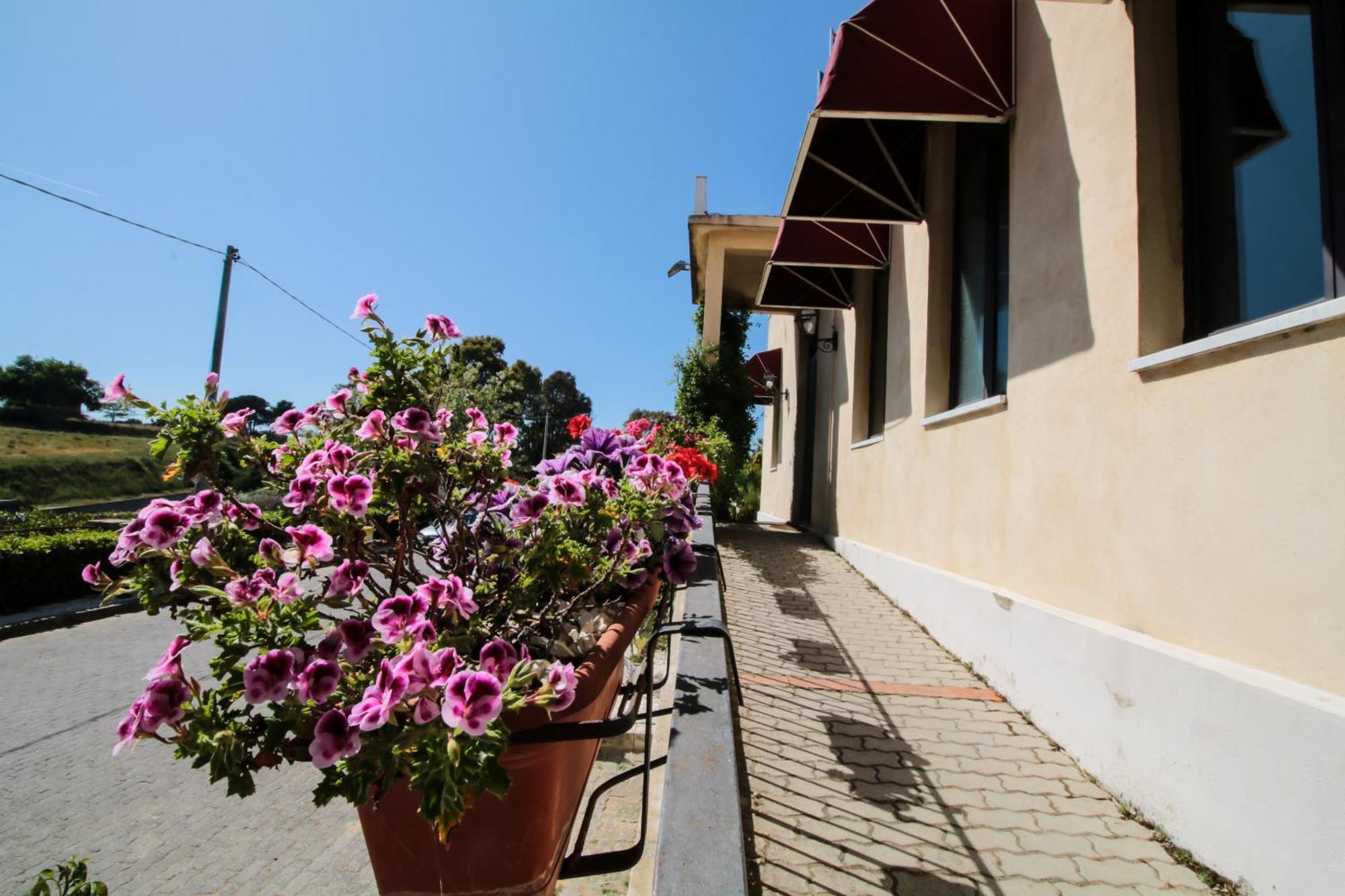 Agriturist Soleluna กัลตาจีโรเน ภายนอก รูปภาพ